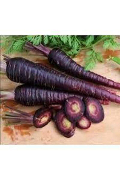 Serdar Çam Tohumculuk Tohum