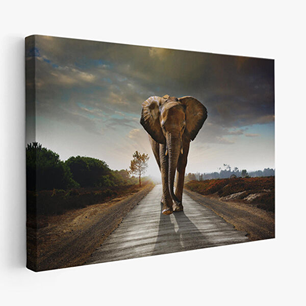 Harita Sepeti Kanvas Tablo