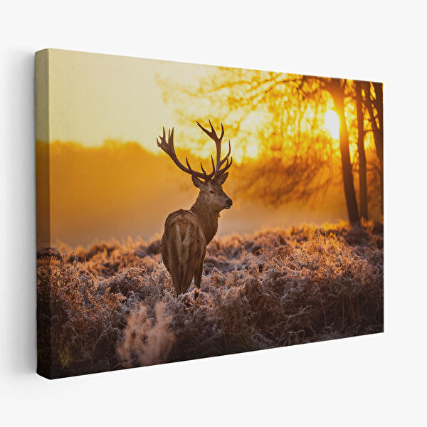 Harita Sepeti Kanvas Tablo