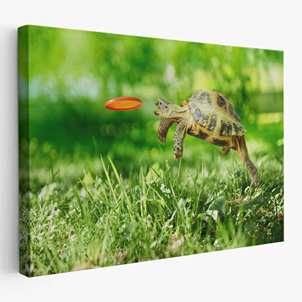 Harita Sepeti Kanvas Tablo