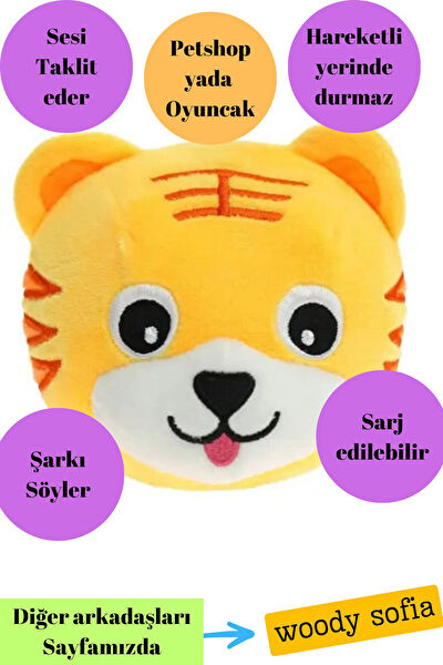 Woody Sofia Eğitici Oyuncaklar