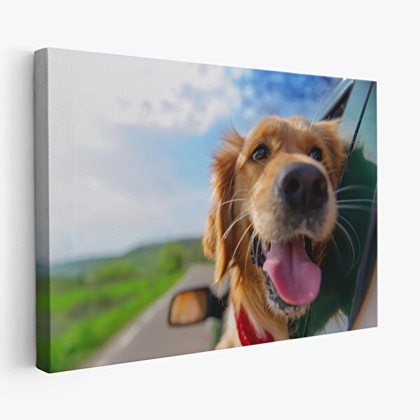 Harita Sepeti Kanvas Tablo