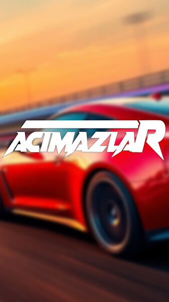 Sts Oto Aksesuar Arma Sticker