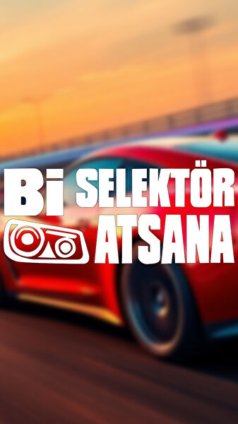Sts Oto Aksesuar Arma Sticker