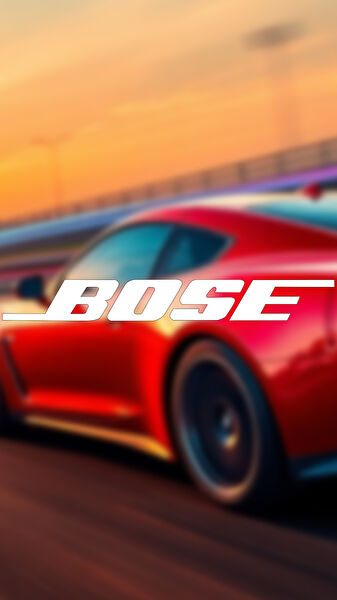 Sts Oto Aksesuar Arma Sticker