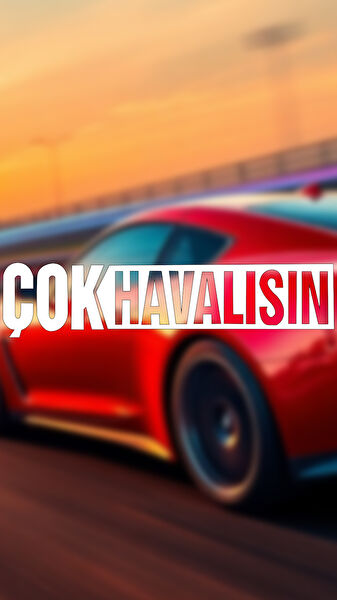 Sts Oto Aksesuar Arma Sticker