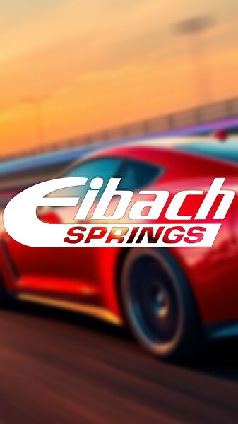 Sts Oto Aksesuar Arma Sticker