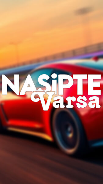 Sts Oto Aksesuar Arma Sticker