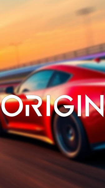 Sts Oto Aksesuar Arma Sticker