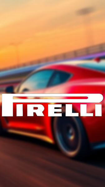 Sts Oto Aksesuar Arma Sticker