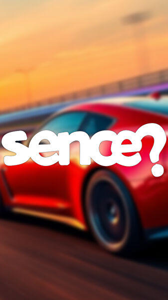 Sts Oto Aksesuar Arma Sticker