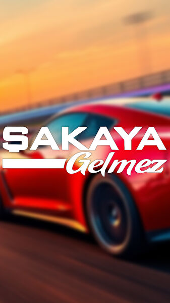 Sts Oto Aksesuar Arma Sticker