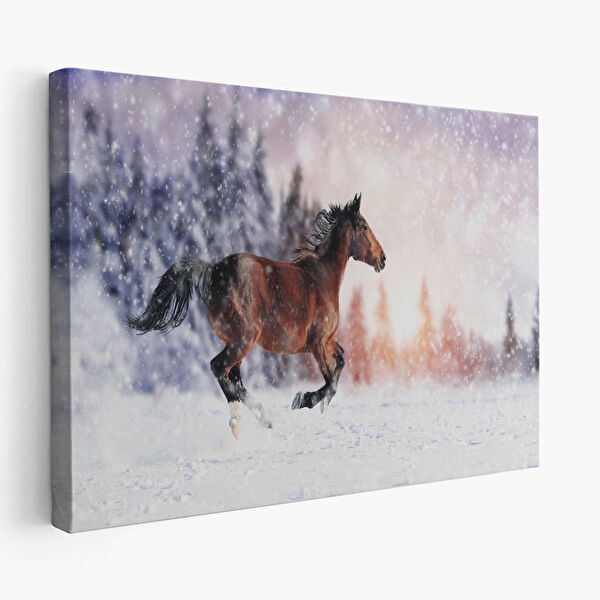 Harita Sepeti Kanvas Tablo