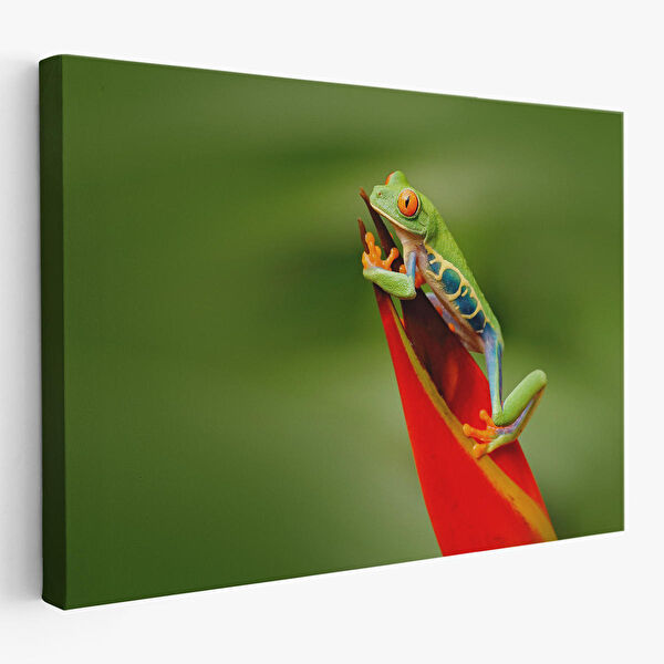 Harita Sepeti Kanvas Tablo