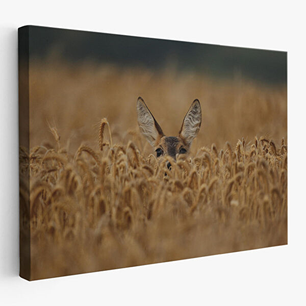 Harita Sepeti Kanvas Tablo