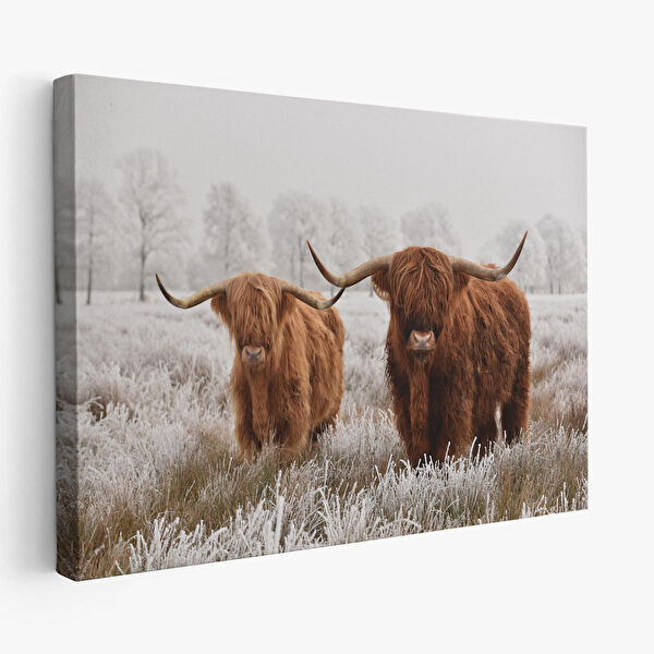 Harita Sepeti Kanvas Tablo