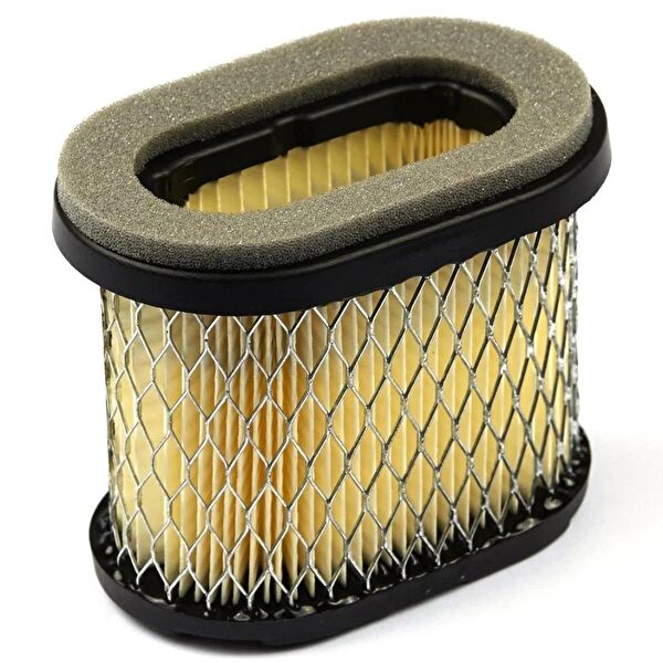 Briggs & Stratton Ağaç Kesme Makinesi Yedek Parça