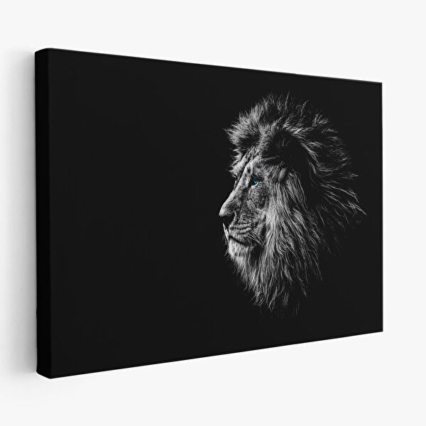 Harita Sepeti Kanvas Tablo