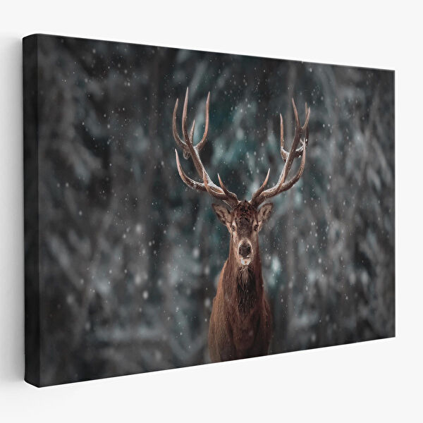 Harita Sepeti Kanvas Tablo