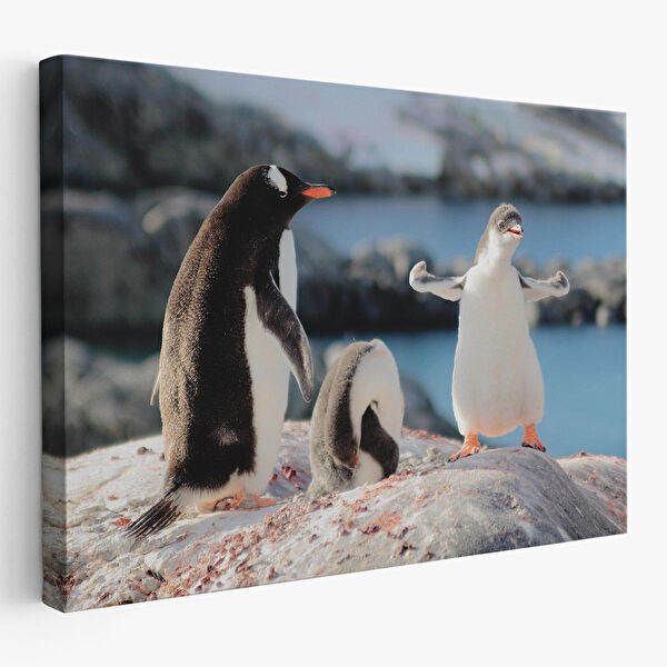 Harita Sepeti Kanvas Tablo