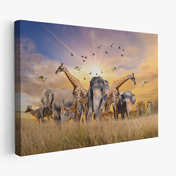 Harita Sepeti Kanvas Tablo