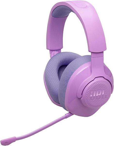 JBL Bluetooth Kulaklık