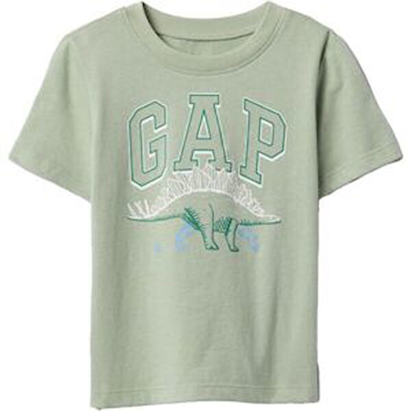 Gap Erkek Çocuk Tişört