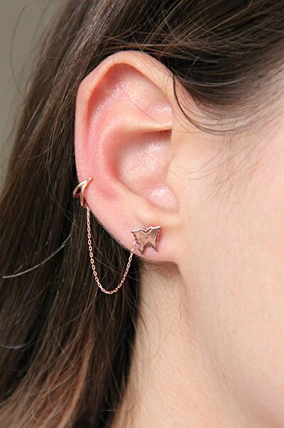 Argentum Concept Küpe