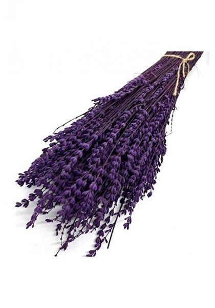 Defne Bitkisel Ürünler İç Mekan Bitkileri