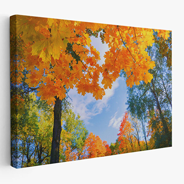 Harita Sepeti Kanvas Tablo