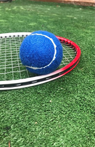 Werkon Tenis Topu