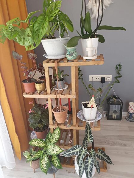 Doruk Dekor Vazo, Saksı