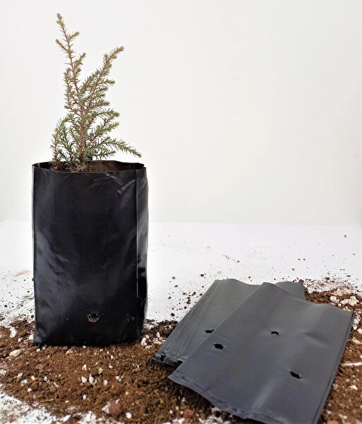 Ekodoğa Bitki Yetiştirme Kiti