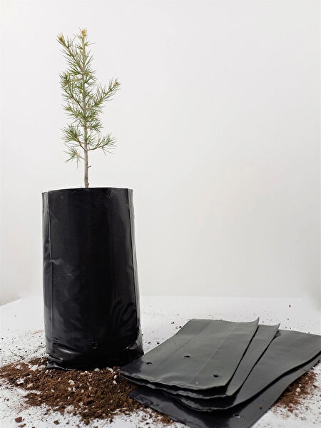 Ekodoğa Bitki Yetiştirme Kiti