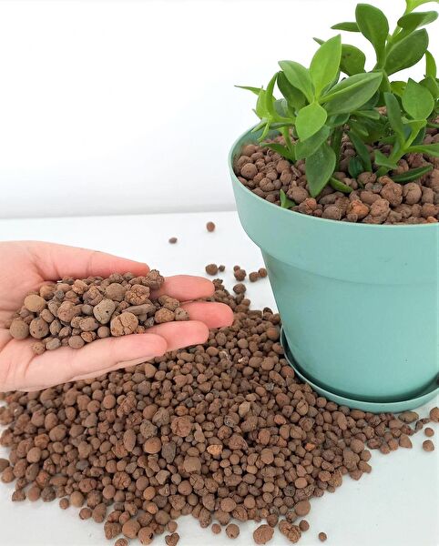 Asenya Torf ve Toprak