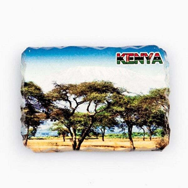 Dünyadan Hediyeler Magnet