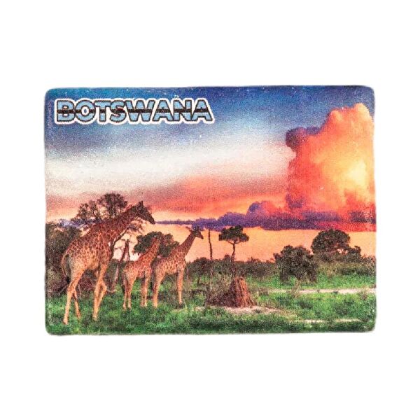 Dünyadan Hediyeler Magnet