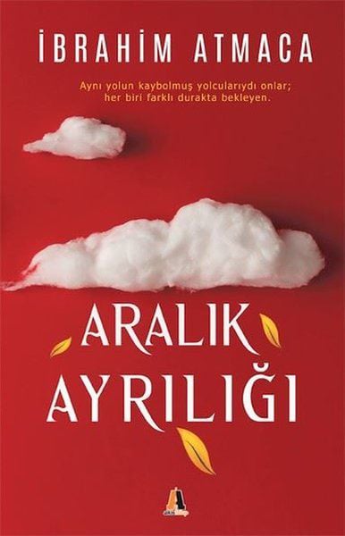 Alkasaz Roman Kitapları