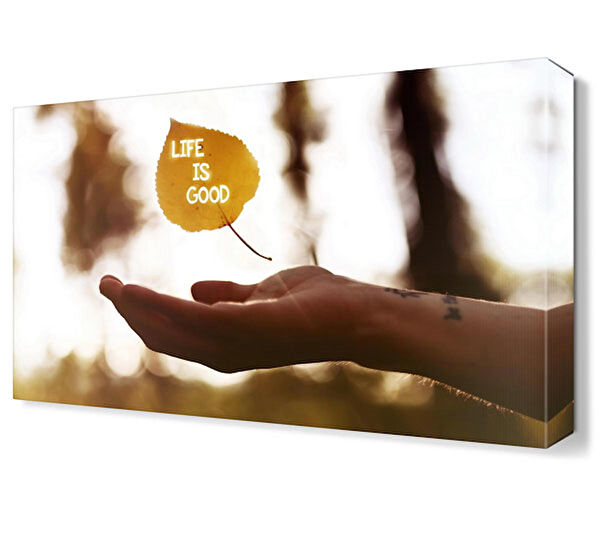 Dekor Sevgisi Kanvas Tablo