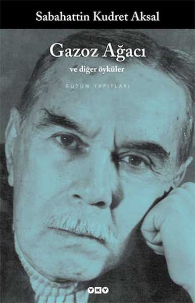 Alkasaz Öykü Kitapları