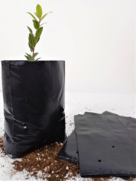 Ekodoğa Bitki Yetiştirme Kiti