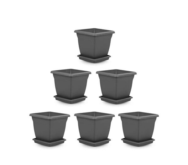 Omnipazar Vazo, Saksı