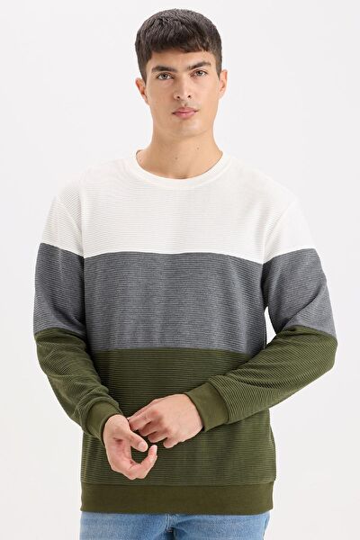 DeFacto Erkek Sweatshirt