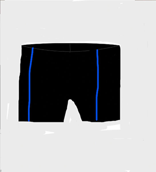 Ras Erkek Çocuk Mayo, Deniz Şortu