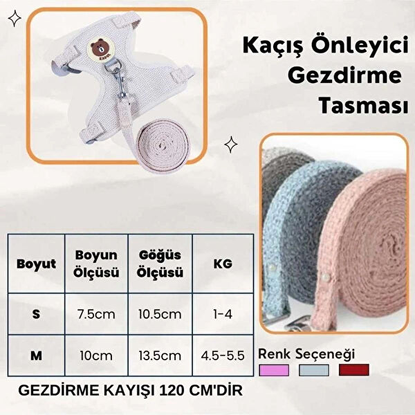 Floria Kedi Tasmaları ve İsimlikler