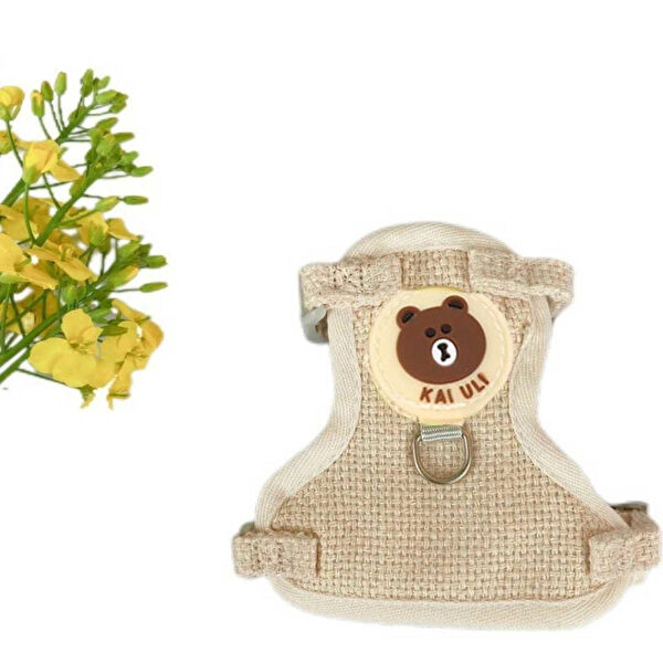 Floria Kedi Tasmaları ve İsimlikler