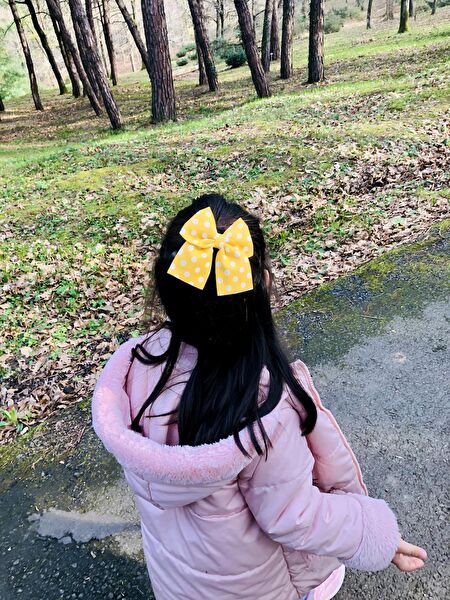 seyranat Çocuk Saç Aksesuarları