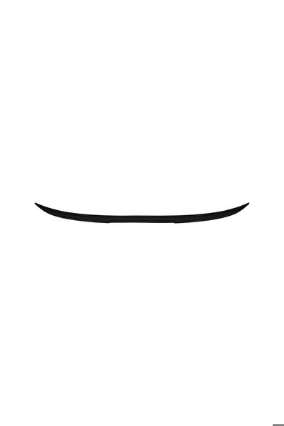 BRSPLAST Anatomik Spoiler