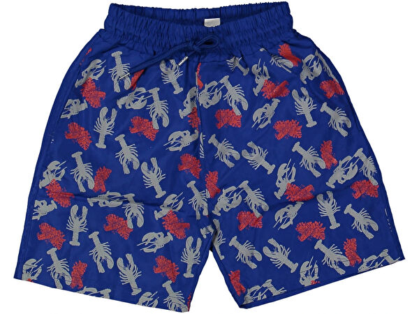 Nickelodeon Erkek Çocuk Mayo, Deniz Şortu