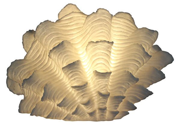 Lumienza Masa Lambası